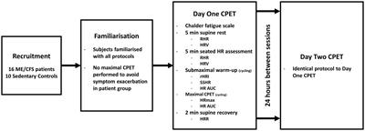 Markers of Cardiac Autonomic Function During Consecutive Day Peak Exercise Tests in People With Myalgic Encephalomyelitis/Chronic Fatigue Syndrome